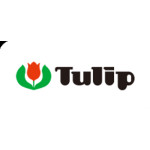 Tulip