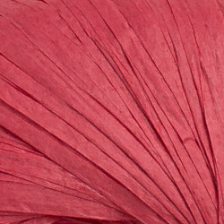 Fibra Natura Raffia 116-06