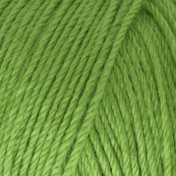 Пряжа Gazzal Baby Wool 821 Салатовий