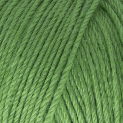 пряжа Gazzal Baby Wool 838 Светло-зеленый