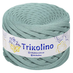 Пряжа трикотажна Trikolino 7-9 мм 100 м Светлая полынь